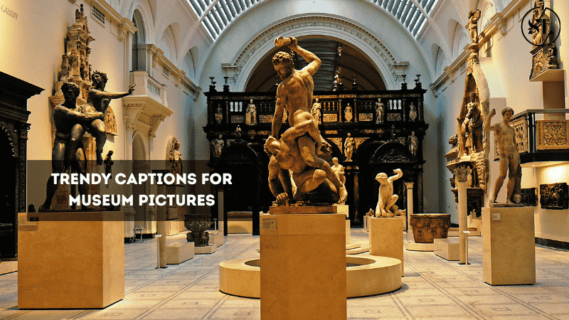 Captions for Museum Pictures